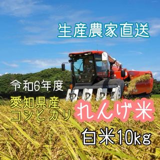 れんげ米 愛知県産コシヒカリ 白米10kg(米/穀物)