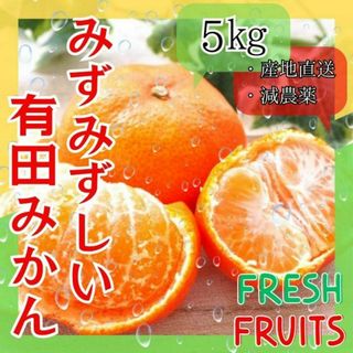 みかん 5㎏ 有田みかん 蜜柑 減農薬 ミカン 濃厚 甘い 高糖度 産地直送(フルーツ)