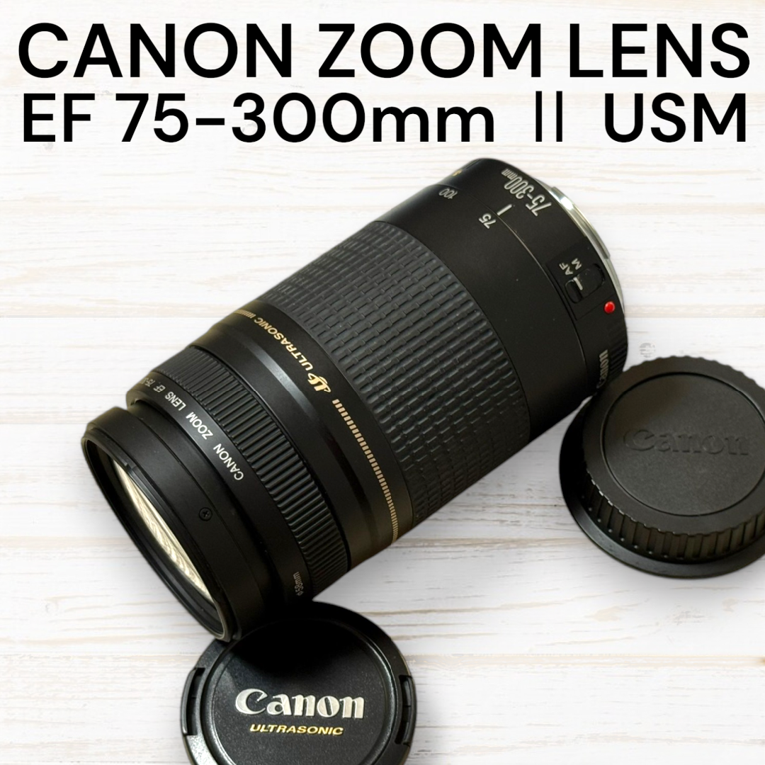 スポーツ/運動会/フード付き/Canon EF 75-300㎜　II 41LsHNAVdHL._UF350,350_QL80_.jpg