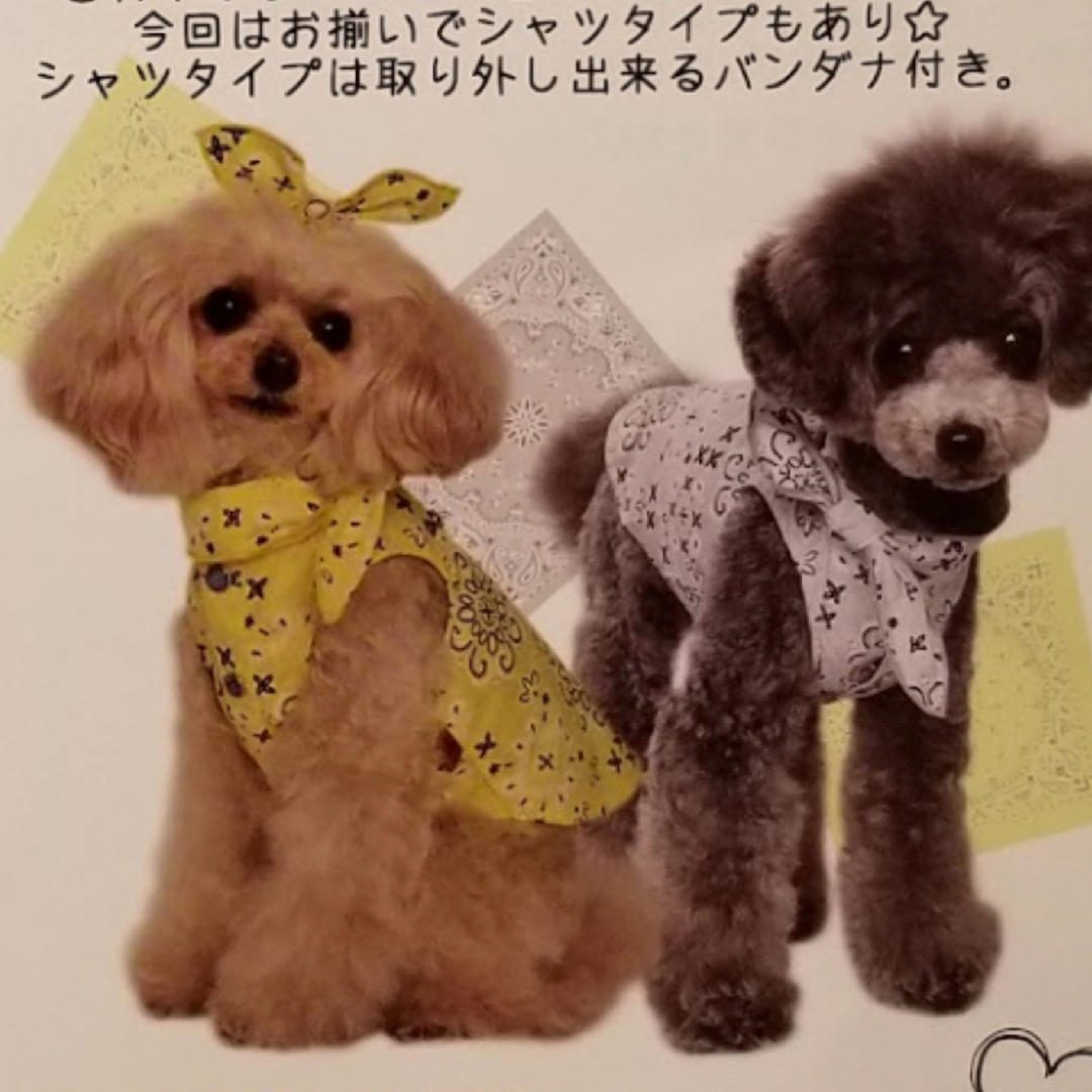 ペットアクセサリー　ペットリボンクリップ その他のペット用品(犬)の商品写真