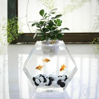 金魚鉢　水槽　テラリウム　花瓶　ガラス　透明(花瓶)