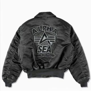 ALPHA INDUSTRIES(フライトジャケット ・ ブラック/黒色系)の ALPHA INDUSTRIES(フライトジャケット ・ ブラック/黒色系)の