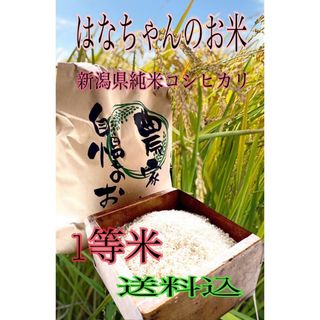はなちゃんのお米 新潟県産純米コシヒカリ3kg(米/穀物)