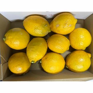 レモン 無農薬 瀬戸内産v(調味料)