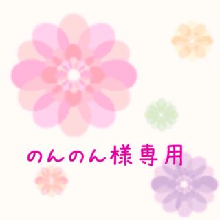 のんのん様専用(その他)