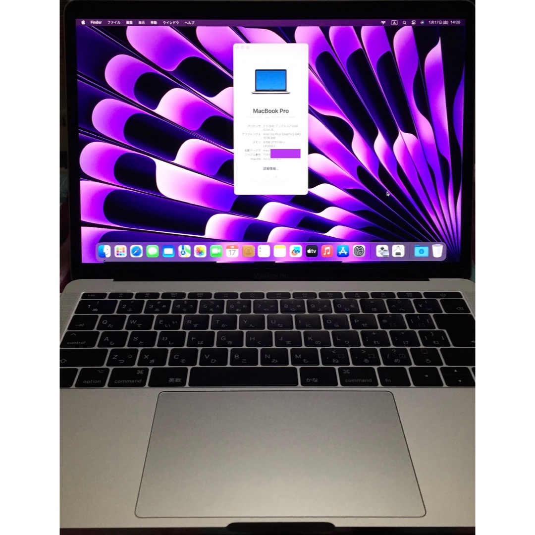 ノートPC Apple - Apple MacBook Pro 2017 8GB 251GB WIN11