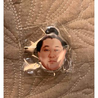 【新品未開封】大相撲ガチャ ヘアピン 狼雅(相撲/武道)