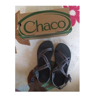 フリークスストア(FREAK'S STORE)のChaco スポーツサンダル グレー(サンダル)