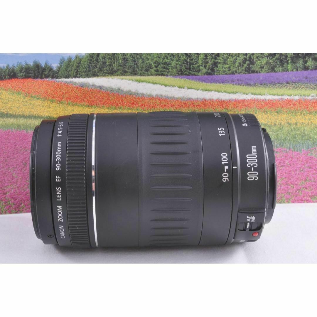 大切な記録を望遠で! Canon キヤノン EF90-300mm 望遠レンズ#5 大切な記録を望遠で! Canon キヤノン EF90-300mm 望遠レンズ#5