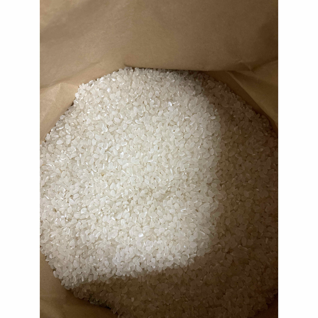 令和6年産　新米ひとめぼれ　10kg 農家直送