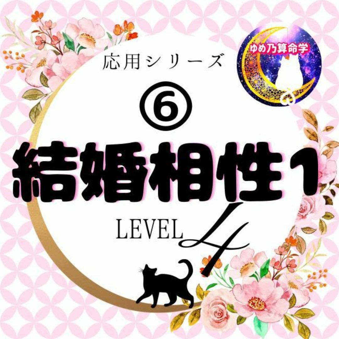 ゆめ乃算命学【応用】⑥結婚相性1 レベル4 独学 鑑定 本 占い ゆめ乃算命学【応用】⑥結婚相性1 レベル4 独学 鑑定 本 占い