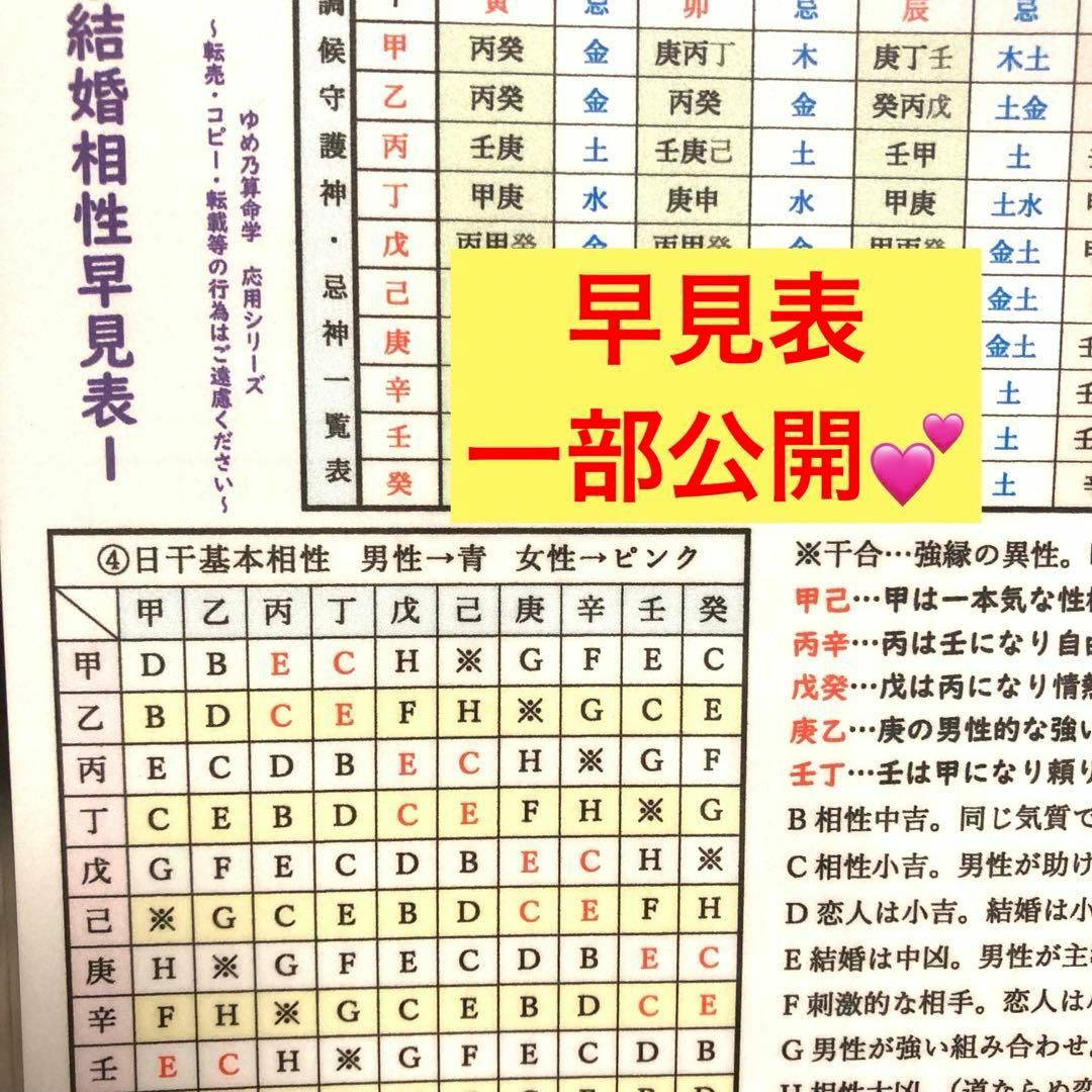 ゆめ乃算命学【応用】⑥結婚相性1 レベル4 独学 鑑定 本 占い ゆめ乃算命学【応用】⑥結婚相性1 レベル4 独学 鑑定 本 占い