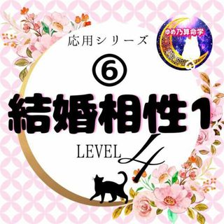 ゆめ乃算命学【応用】⑥結婚相性1 レベル4 独学 鑑定 本 占い ゆめ乃算命学【応用】⑥結婚相性1 レベル4 独学 鑑定 本 占い