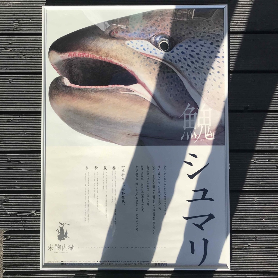 北海道 シュマリナイ 朱鞠内湖 イトウ ポスター 希少 美品 北海道 シュマリナイ 朱鞠内湖 イトウ ポスター 希少 美品