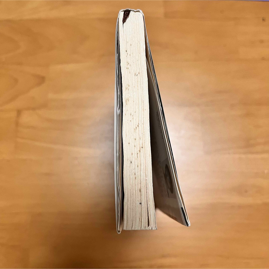 新潮社(シンチョウシャ)の何者 エンタメ/ホビーの本(その他)の商品写真