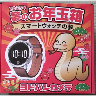 ヨドバシカメラ 2025年 夢のお年玉箱 スマートウォッチの夢(その他)