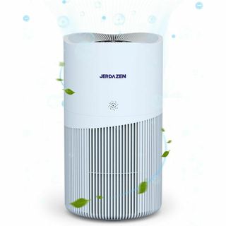 空気清浄機 35畳 脱臭 高性能モデル パワフル清浄 換気 換気 簡単お手入れ(空気清浄器)