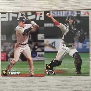 福岡ソフトバンクホークス - 福岡 ダイエー ホークス スタジアム 福岡ソフトバンクホークス - 福岡 ダイエー ホークス スタジアム