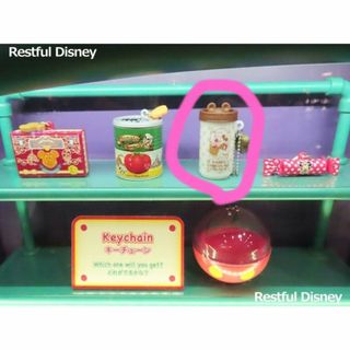 ディズニー(Disney)のディズニーランド カプセルトイ(キーホルダー)