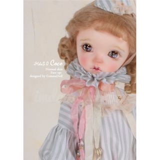 imda3.0 Coco ヘッドのみ