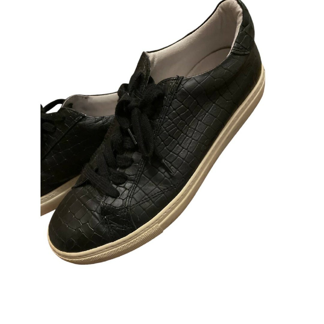 Amb - 9838 CROCO / クロコダイル型押し / スムースレザー