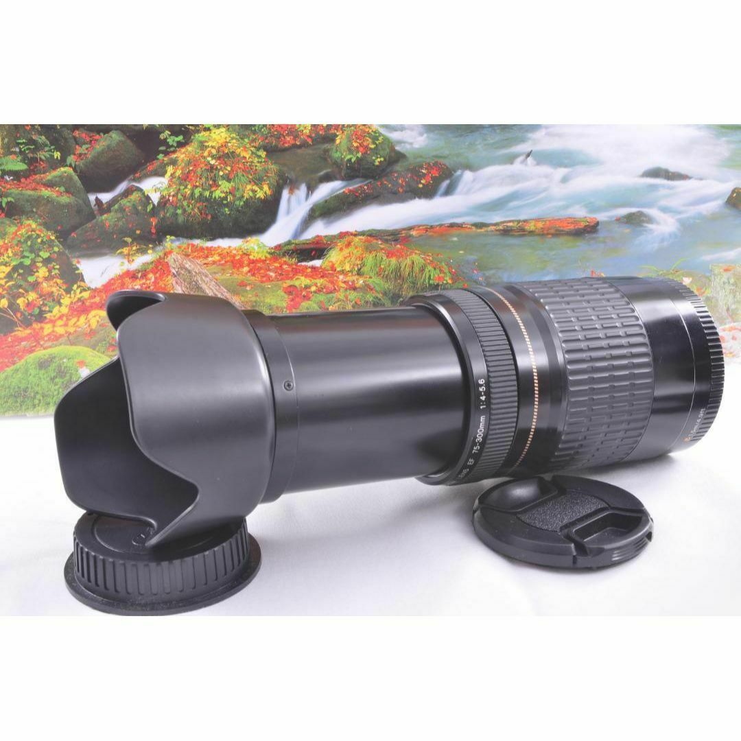 ✨望遠レンズ✨Canon レンズ がた EF 75-300mm Ⅲ ✨望遠レンズ✨Canon レンズ がた EF 75-300mm Ⅲ