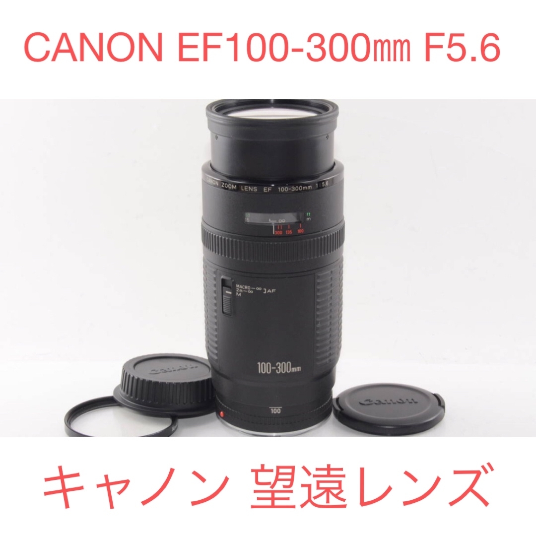 キヤノン 望遠ズームレンズ CANON EF 100-300mm F5.6 キヤノン 望遠ズームレンズ CANON EF 100-300mm F5.6
