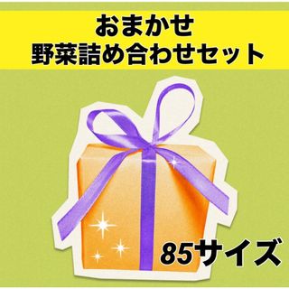水曜日発送‼️おまかせ野菜セット‼️(野菜)