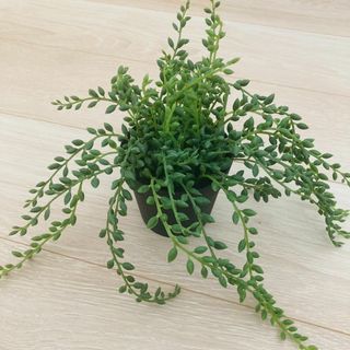★ インテリア　フェイクグリーン　造花　草　緑　植物　飾り　インテリア小物 ★(置物)