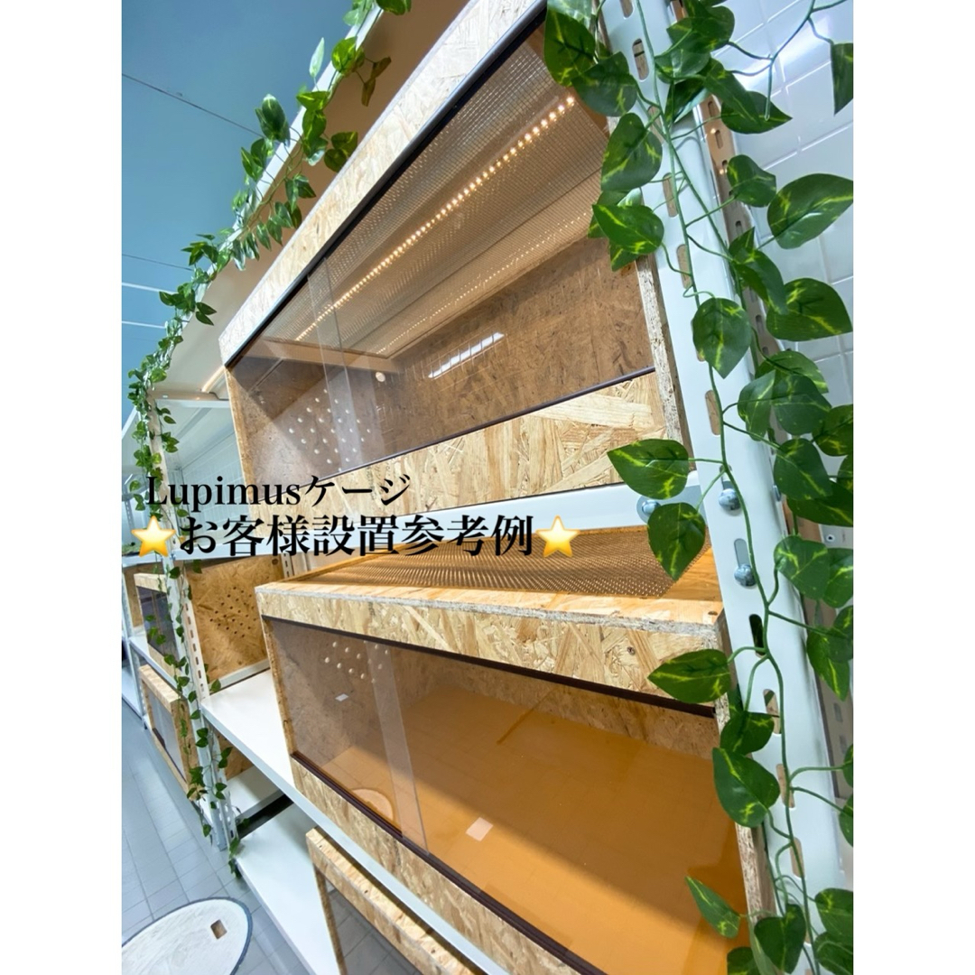 爬虫類ケージ 爬虫類木製ケージ 90×45×45サイズ 天井金網仕様 爬虫類ケージ 爬虫類木製ケージ 90×45×45サイズ 天井金網仕様