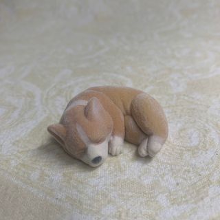 タカラトミーアーツ　もふもふコーギー　ガチャガチャ　フロッキー(キャラクターグッズ)