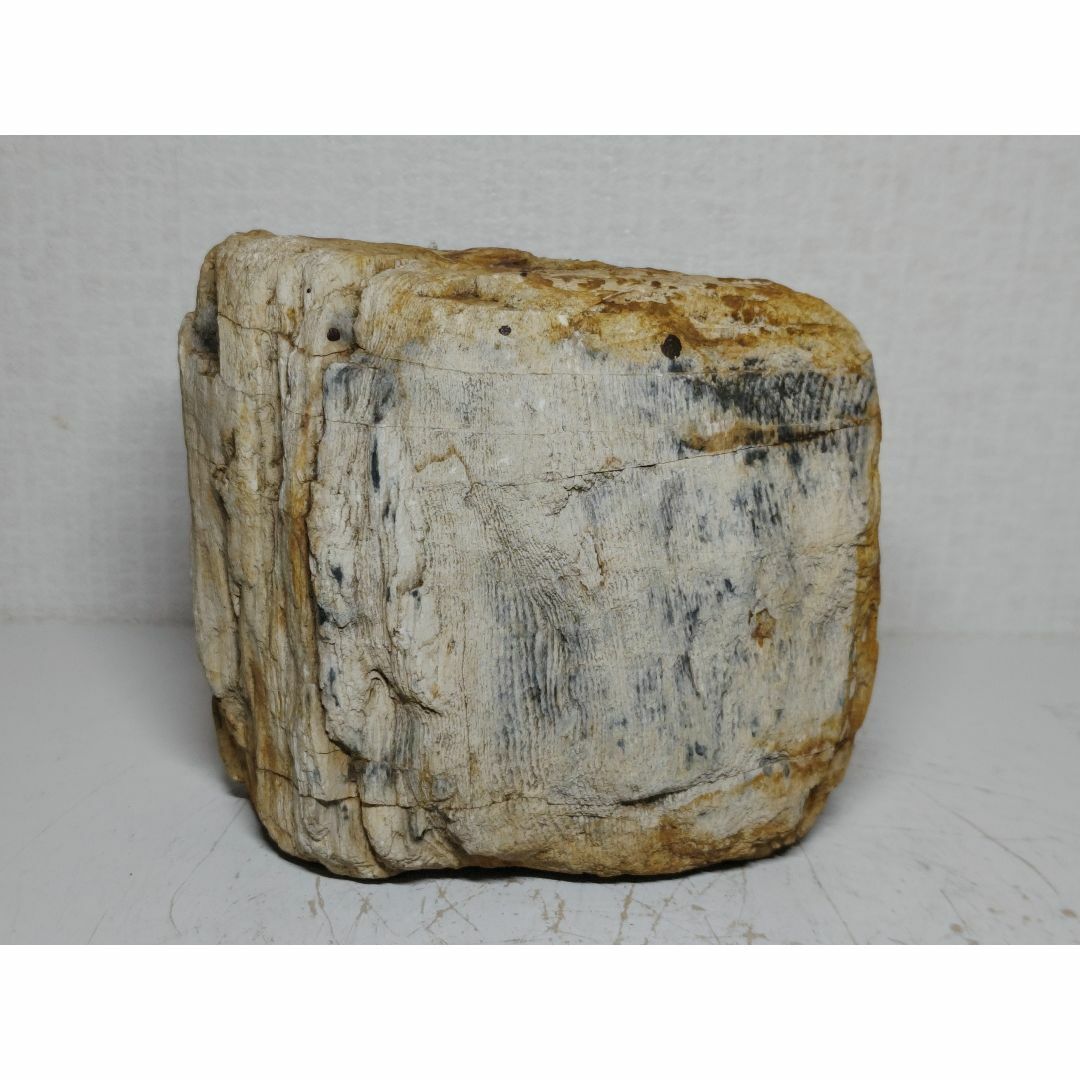 珪化木 1.6kg ジャスパー 碧玉 原石 鑑賞石 自然石 水石 誕生石 鉱物