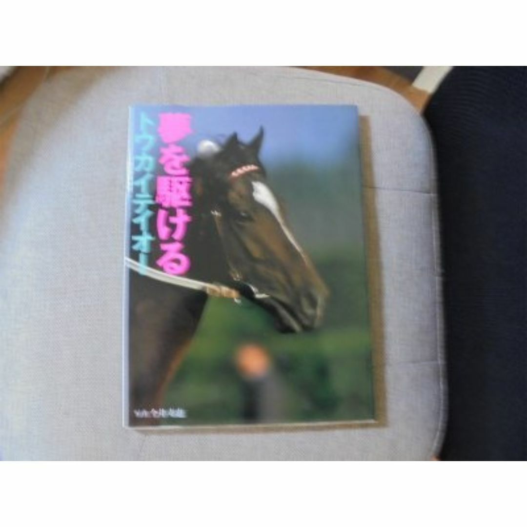 夢を駆けるトウカイティオー