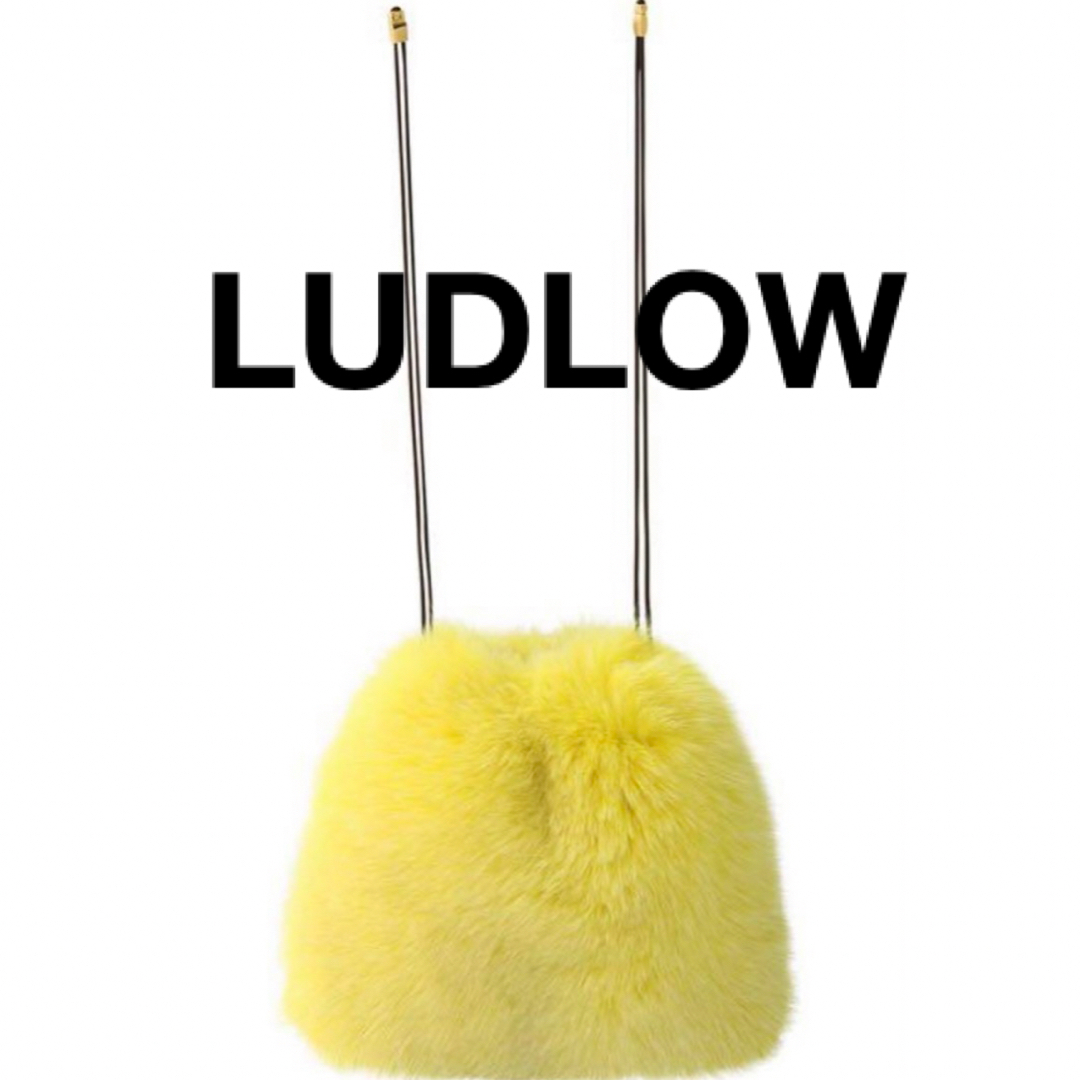 LUDLOW ラドロー フォックスファー ショルダーバッグ LUDLOW ラドロー フォックスファー ショルダーバッグ