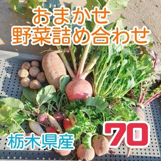 【数量限定】おまかせ野菜詰め合わせBOX【70】(野菜)