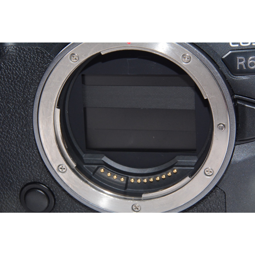 オススメ】Canon ミラーレス一眼カメラ EOS R6 ボディー EOSR6 オススメ】Canon ミラーレス一眼カメラ EOS R6 ボディー EOSR6