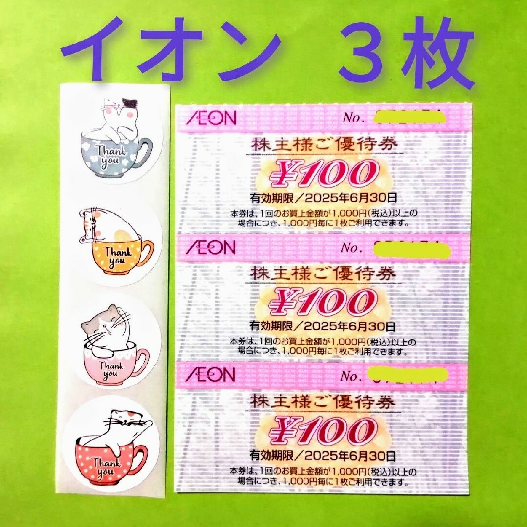 AEON(イオン)のイオン(AEON)株主優待券 300円分★マックスバリュ ザ・ビッグ レディースのファッション小物(その他)の商品写真