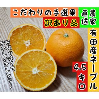 訳あり品　有田産ネーブルオレンジ　4.5キロ(フルーツ)