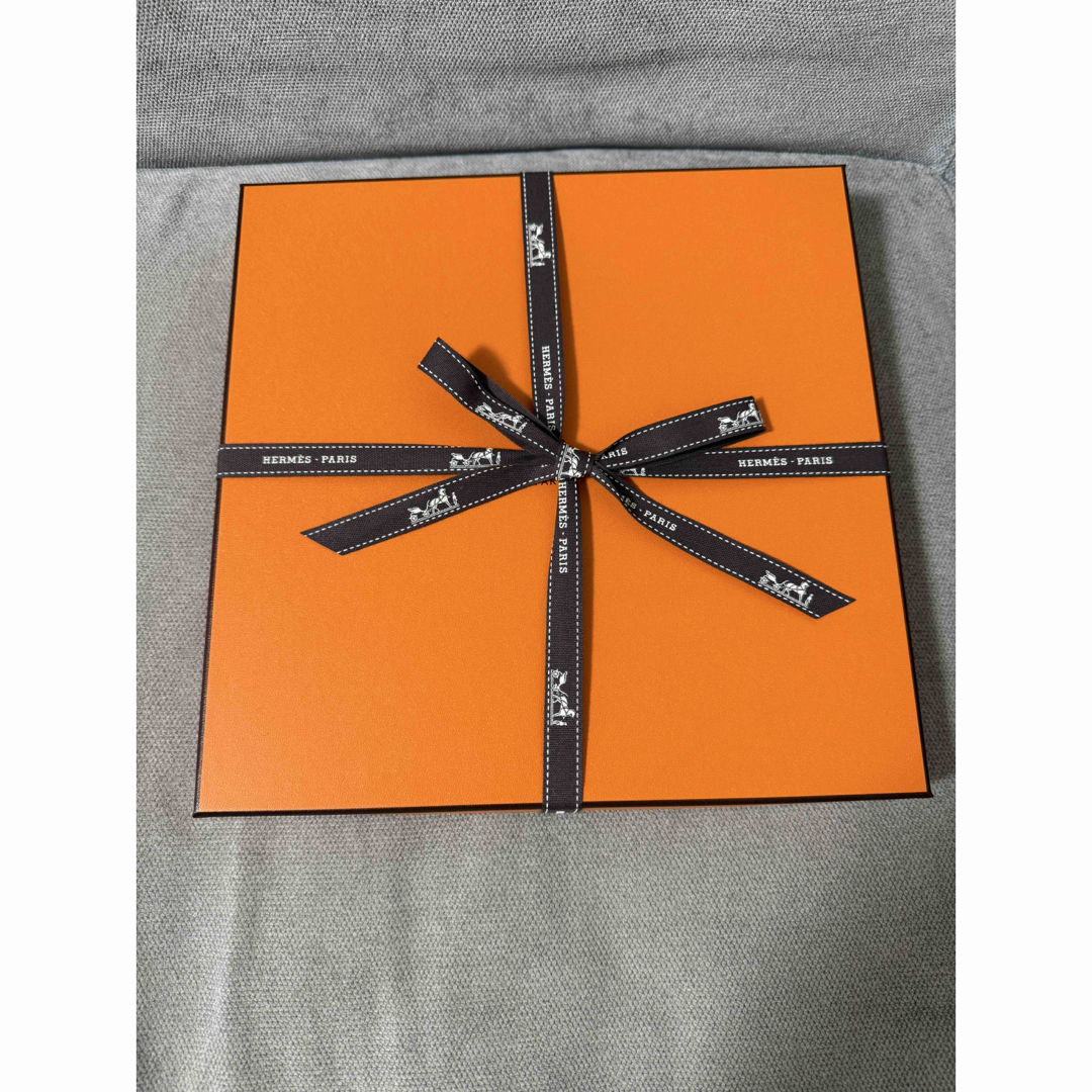 HERMES - 値下げ!新品未使用 エルメス 《ペガサスのように自由 HERMES - 値下げ!新品未使用 エルメス 《ペガサスのように自由