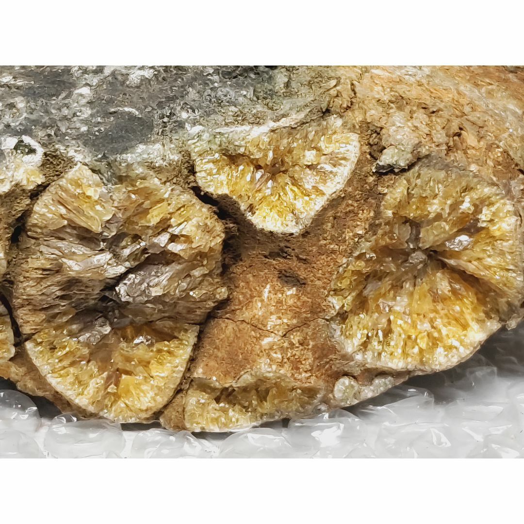 アンモナイト 1.2kg 化石 カルサイト 鑑賞石 原石 自然石 水石 鉱石