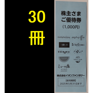 イオンファンタジー 株主優待券 30000円 2025年5月期限(遊園地/テーマパーク)