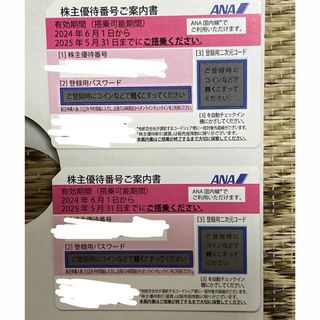 ANA 株主優待　2枚　匿名配送(航空券)
