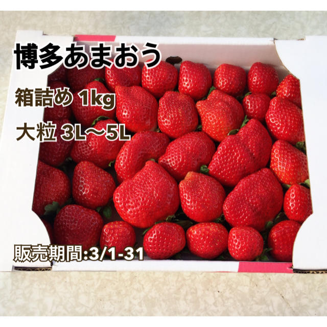 【産地直送】博多あまおう  箱詰め 1kg  食品/飲料/酒の食品(フルーツ)の商品写真