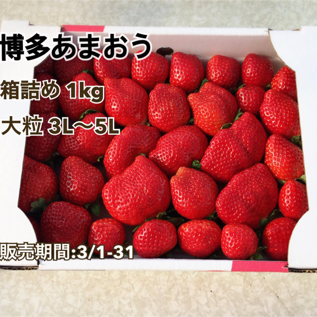 【産地直送】博多あまおう  箱詰め 1kg  食品/飲料/酒の食品(フルーツ)の商品写真