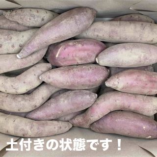 訳ありB品【SMサイズ】シルクスイート 5Kg 愛知県産さつまいも(野菜)