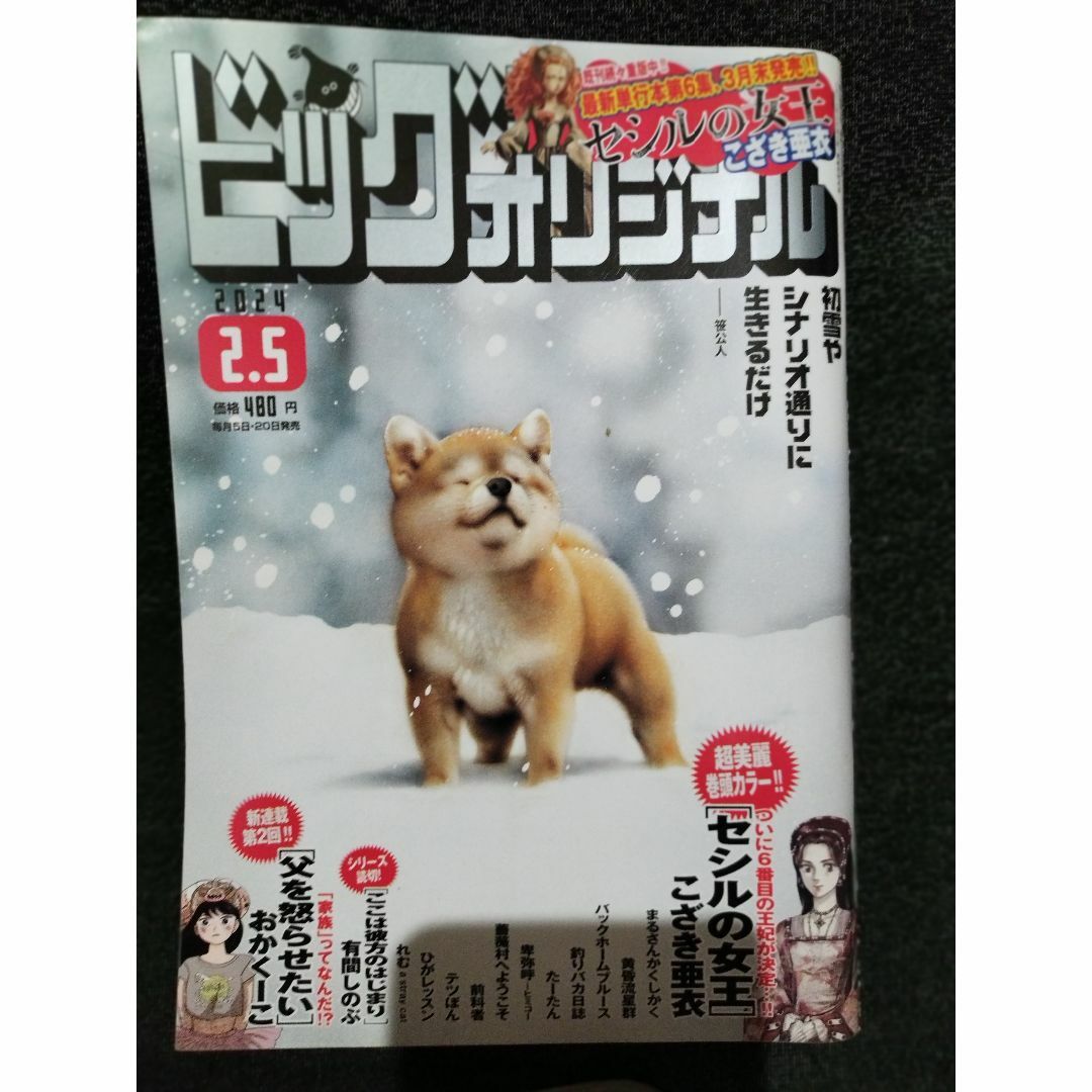 ビッグコミックオリジナル 2024年2月5日号 エンタメ/ホビーの漫画(漫画雑誌)の商品写真