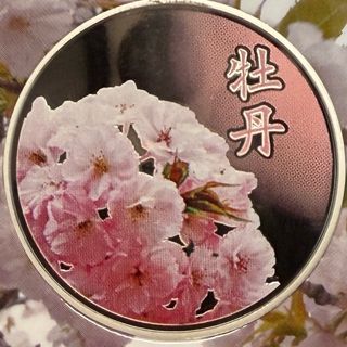 桜の通り抜け記念銅メダルのフリマアイテム一覧 桜の通り抜け記念銅メダルのフリマアイテム一覧