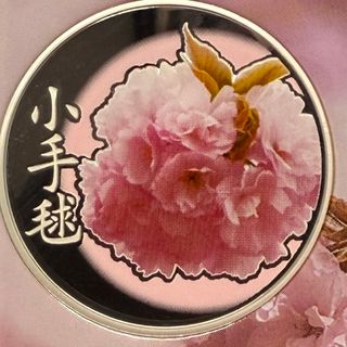 桜の通り抜け記念銅メダルのフリマアイテム一覧 桜の通り抜け記念銅メダルのフリマアイテム一覧