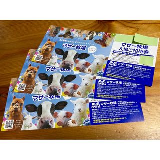 千葉県 マザー牧場 ♡ 入園券３枚 set！♡ ’25 /３.31 迄(動物園)