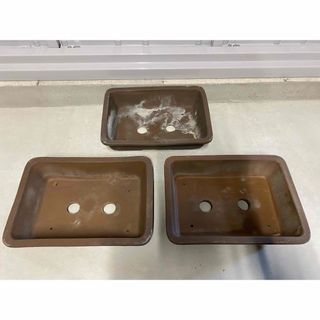 盆栽鉢　長方　3点セット　小品盆栽　雑木　寄せ植え　多肉植物　盆栽　鉢　植木鉢(その他)